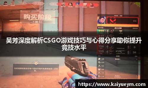 吴芳深度解析CSGO游戏技巧与心得分享助你提升竞技水平